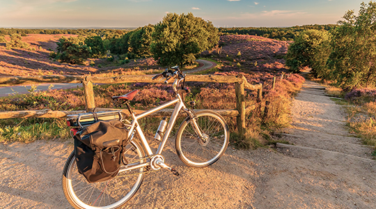 Fiets bij de heide op de Veluwe